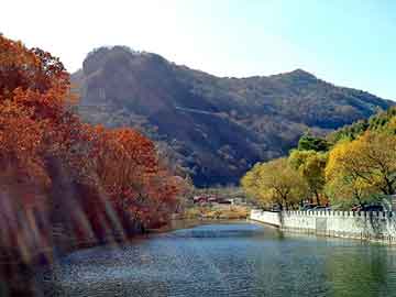 带绿荔枝，早餐第一步价格